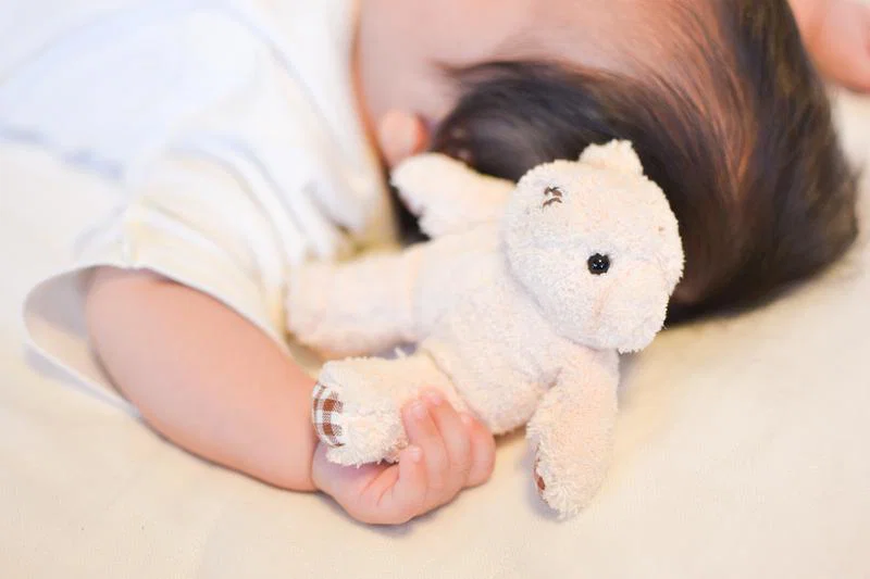 ぬいぐるみ ミニ 5体セット