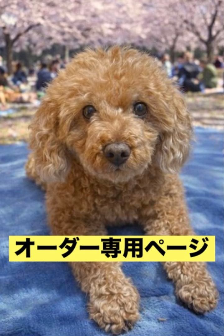 オーダー専用ページ