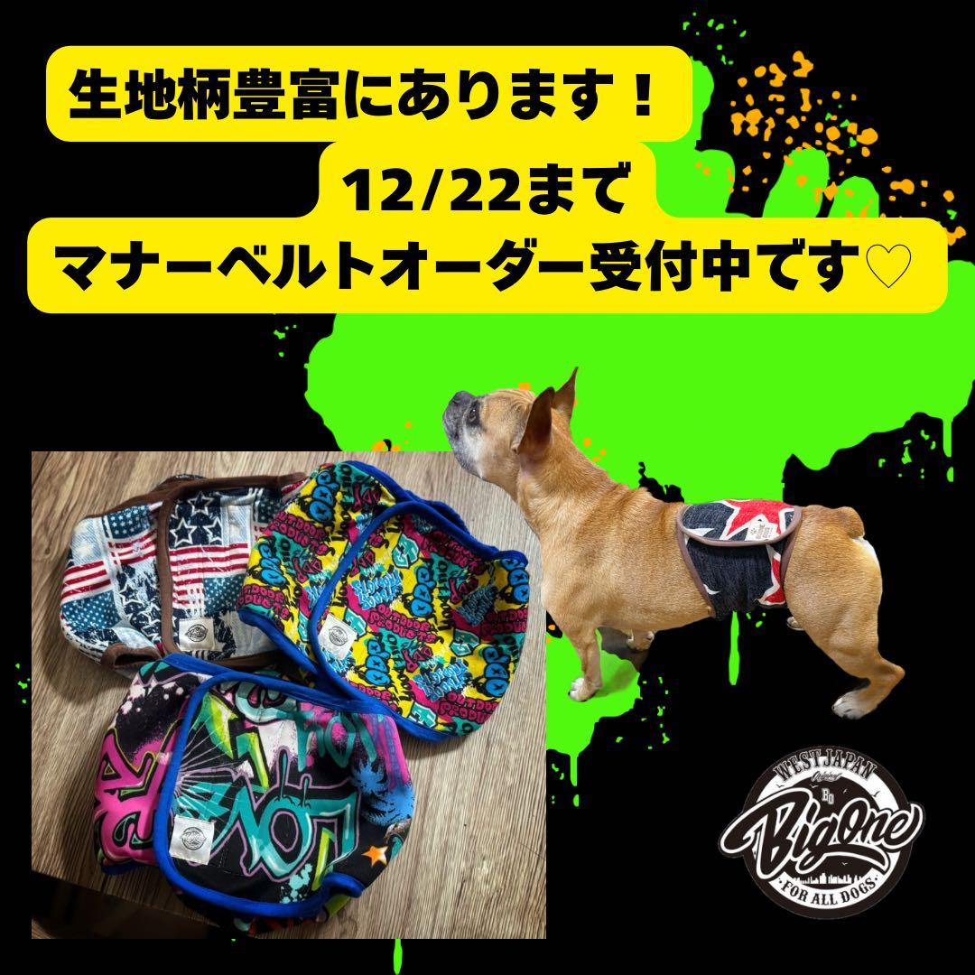 犬用 マナーベルト オーダーページ