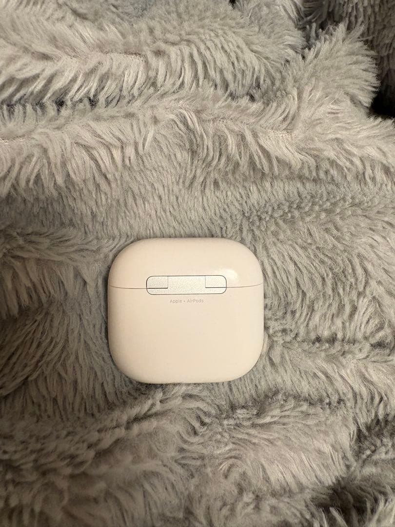 Apple AirPods5 右耳 画像2
