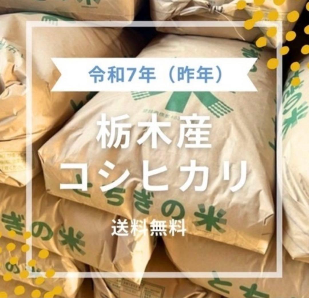 【農家直売】令和7年産 栃木産コシヒカリ 精米1０キロ