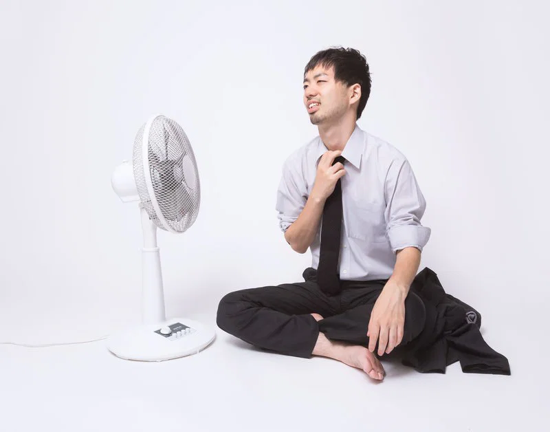 扇風機 リビング 5枚羽 中古