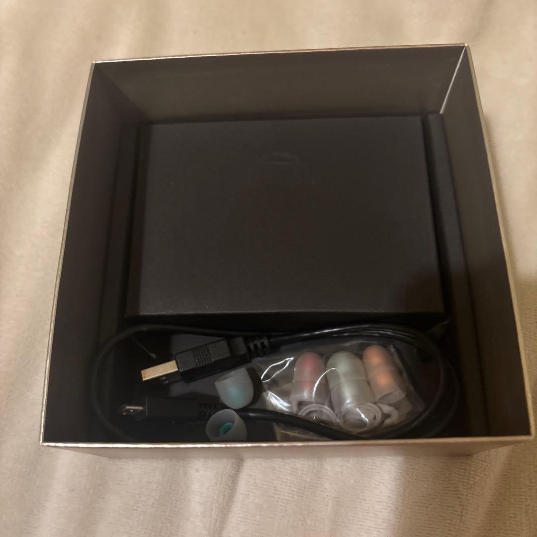SONY WF-1000X ワイヤレスノイズキャンセリングヘッドセット 画像4