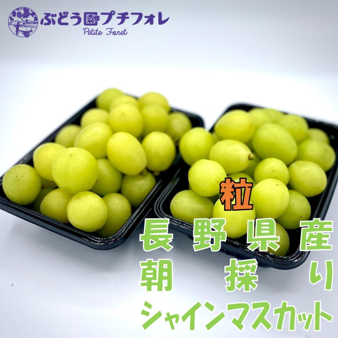 【訳ありお買い得】 農家直送クイーンルージュ粒 1.0kg 画像3