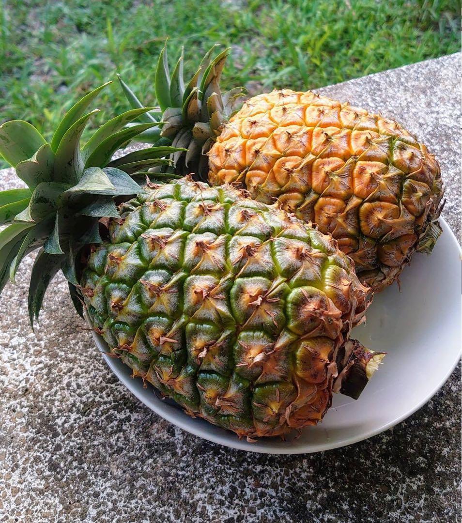 沖縄改良ハワイ種 パイナップル 2玉セット【 残り僅かです！！】 画像2
