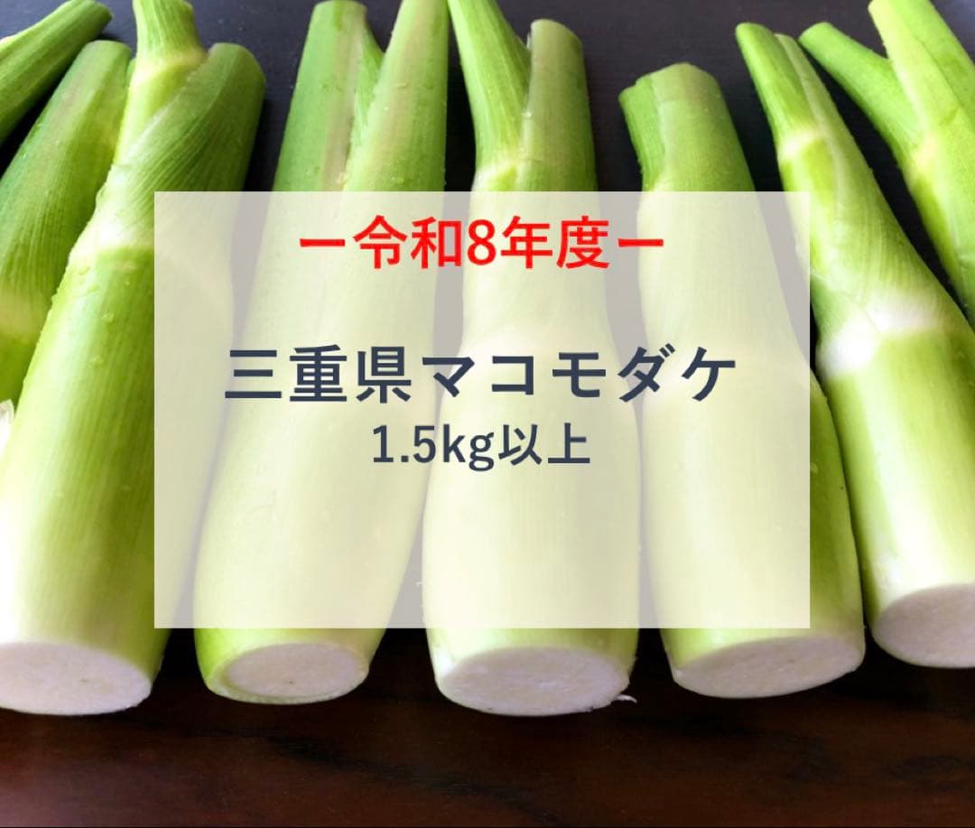 三重県産マコモダケ 1.5kg以上