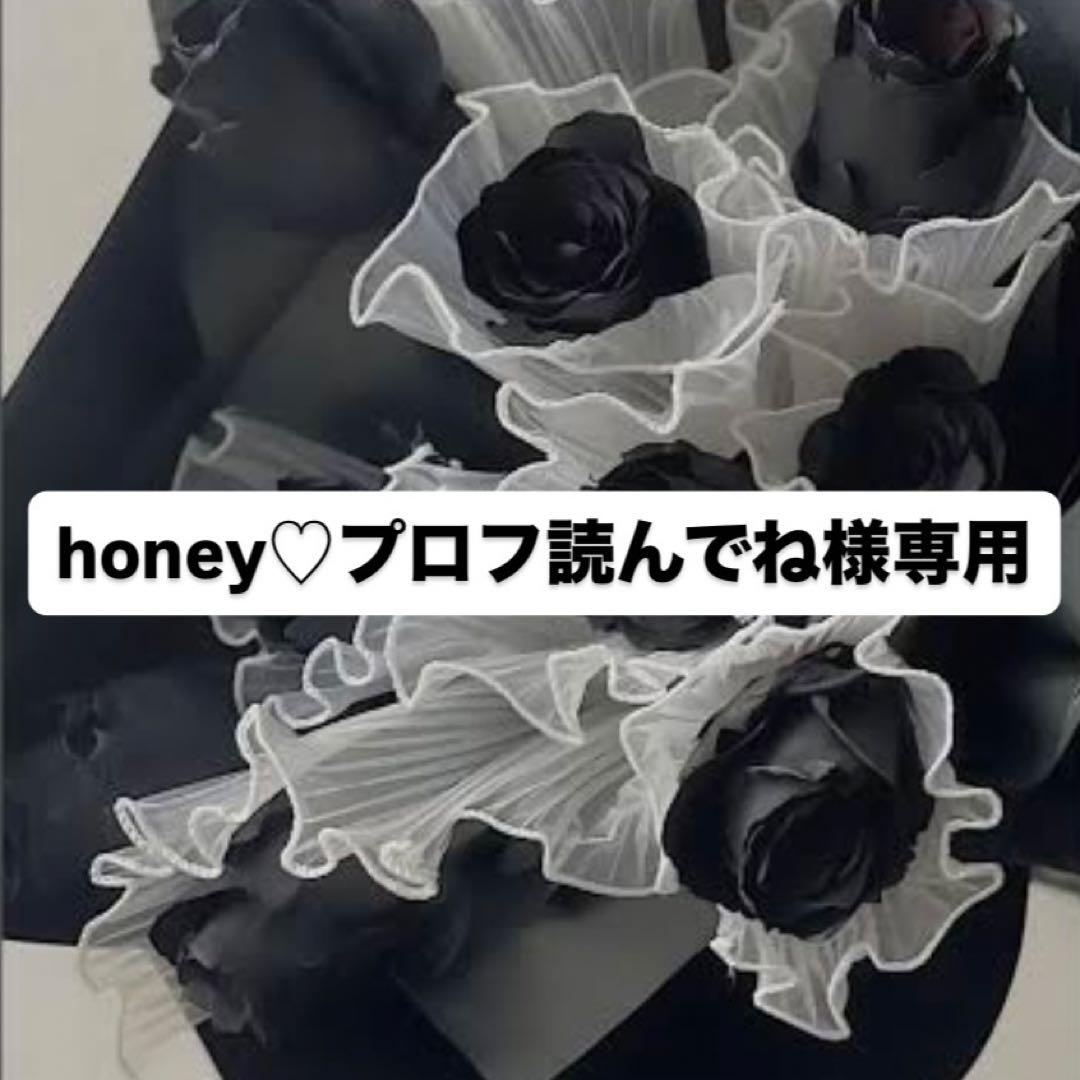 honey♡プロフ読んでね様専用