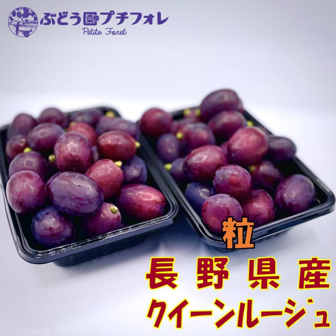 【訳ありお買い得】 農家直送クイーンルージュ粒 1.0kg