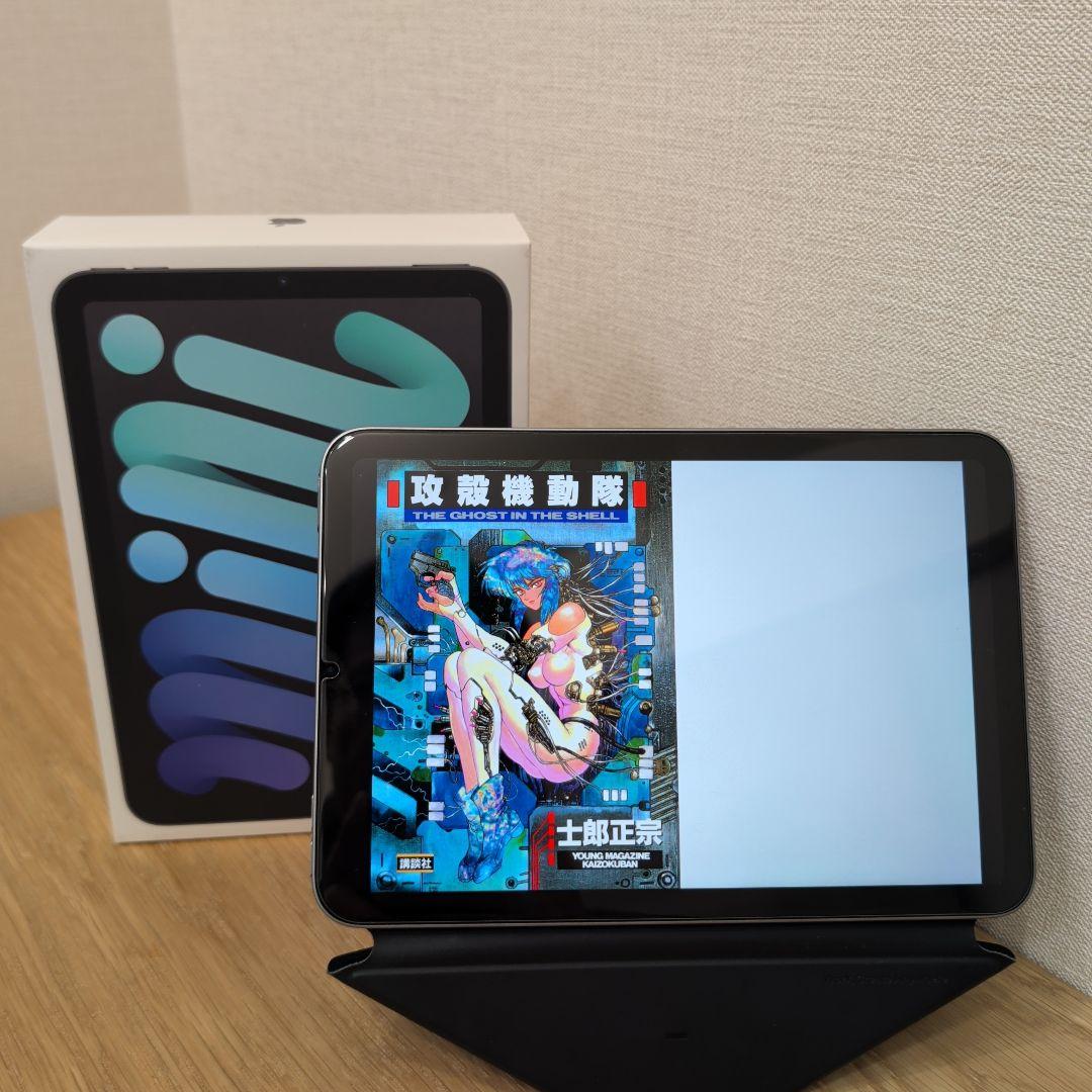 iPad mini (A17 Pro) 128GB Wi-Fi 美品/箱付き 画像4